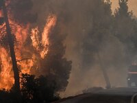 Φωτιά στην Εύβοια: «Η κατάσταση είναι τραγική»