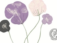 Οι Πασχαλινές ευχές του Δημάρχου Πατρέων...