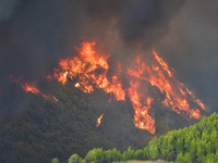 Φωτιά στην Ηλεία: Ανακρίνεται ύποπτος για εμπρησμό
