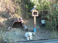 Ναύπακτος: Πήραν το ελληνικό Χάτσικο - ΗΧΗΤΙΚΟ