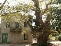 Κτήμα Παρπαρούση: Ένας άγνωστος παράδεισ...