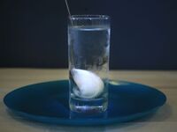 6+1 αγαπημένα, καλοκαιρινά, ρετρό και διαχρονικά