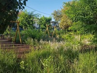 Πάτρα: Αυτή είναι παιδική χαρά στο Ρίο- ...