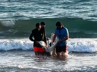 Μυτιλήνη: Η μάχη των 4 ημερών για τον μι...