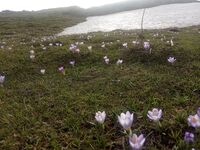 Η φύση ξυπνά... στην κορυφή του Παναχαϊκού