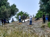 «Έφυγε λες και σκότωσε λιοντάρι…»- Σε βα...