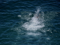 Αίγιο: Γυναίκα ανασύρθηκε από τη θάλασσα...