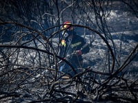 Πυρκαγιά σε Εύβοια και Επίδαυρο - Κινδυν...
