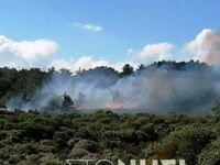 Φωτιά στην Καράβα Μυτιλήνης από άνδρες των ΜΑΤ