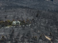 Κάηκαν 650.000 στρέμματα μέσα σε έξι μέρ...