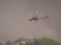 Φωτιά στην Ηλεία: Επί ποδός η πυροσβεστι...
