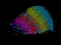 Ερευνητές του Χάρβαρντ και της Google δ...