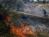 Ανεξέλεγκτη η φωτιά στον Έβρο -Ενισχύοντ...