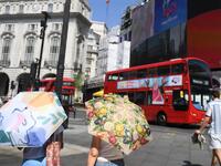 Ο παρατεταμένος φετινός καύσωνας φέτος κ...