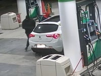 Με τροχούς και κωδικές λέξεις «άνοιγαν» ...