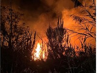 Πάτρα: Πανικός στην Αγυιά- Πήραν φωτιά κ...