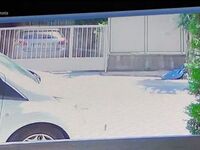 Νέο βίντεο από τη δολοφονία Καραϊβάζ: Η ...