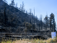 Ποιες είναι οι περιβαλλοντικές επιπτώσει...
