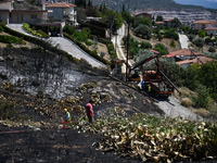 Πόση ... Ελλάδα έχει καεί μέσα στο Ιούλιο; 
