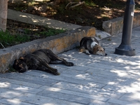 Ο Δήμος ζητά επαναλειτουργία της "Μ...