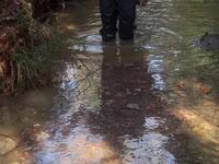 Τραγικός ο θάνατος του 59χρονου στις Βελ...