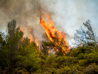 Καιρός: Επικίνδυνος συνδυασμός «Hot, Dry...