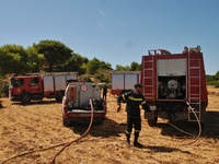 Μεγάλη φωτιά ανάμεσα σε Ραφήνα σε Αρτέμιδα