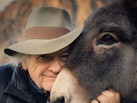 Τι προβάλλει το Odeon Veso Mare από 20 έ...