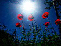 Καιρός: Πάσχα με συννεφιά, βροχές και καταιγίδες