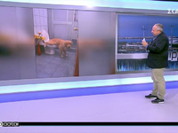 Απίθανα και αστεία βίντεο από όλο τον κόσμο