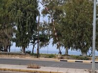 Πάτρα: Τρένο πέρασε με ανοιχτές μπάρες σ...