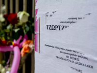 Πάτρα: Συνεχίζονται οι καταθέσεις για το...