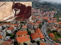 Αράχωβα: Κατεπείγουσα εισαγγελική έρευνα...