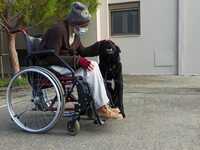 Η ιστορία του σκύλου Ραμπί και η κίνηση ...