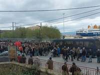 Ανησυχία στη Λέσβο για τον αφθώδη πυρετό...