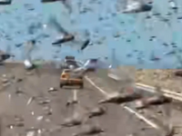 Οδηγοί στη Σαχάρα «παγιδεύτηκαν» μέσα σε...