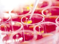 Κορωνοϊός: Νέα μετάλλαξη εντόπισαν οι επ...