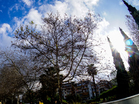 Διπρόσωπος ο καιρός της εβδομάδας: Αφρικ...