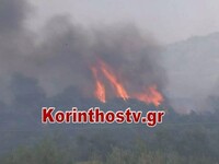 Kόρινθος: Φωτιά σε δάσος στα Αθίκια– «Κά...
