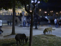 "Οι Άγνωστοι Αθηναίοι", ένα γλ...