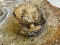 Πάτρα: Τύχη βουνό- Τα μαγειρεμένα στρείδ...