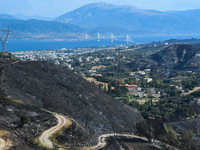 Πάτρα 2025: Άγνωστη λέξη οι γεννήτριες- ...