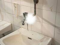 Λευκάδα: Αποκρουστικές εικόνες στο Γυμνά...