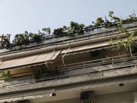 Δολοφονία στο Κουκάκι: «Σκότωσα τη μητέρ...