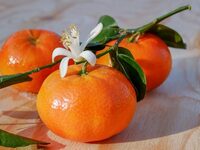 Εξαγωγές: Χαμηλές πτήσεις για μανταρίνι ...