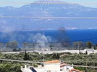 Φωτιά στα Σελιανίτικα Αιγίου στην εθνική...