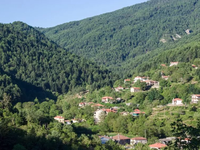 Ζαρούχλα Αχαΐας: Ένα χωριό πλημμυρισμένο...