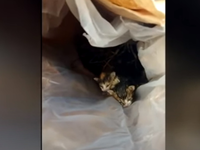 Πρόστιμο 250.000 ευρώ σε 59χρονο που πέτ...