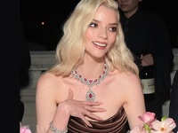 Aνια Τέιλορ Τζόι: Ηταν για… κλέψιμο στο ...