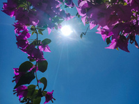 Meteo: Η πόλη της Στερεάς Ελλάδας που «φ...